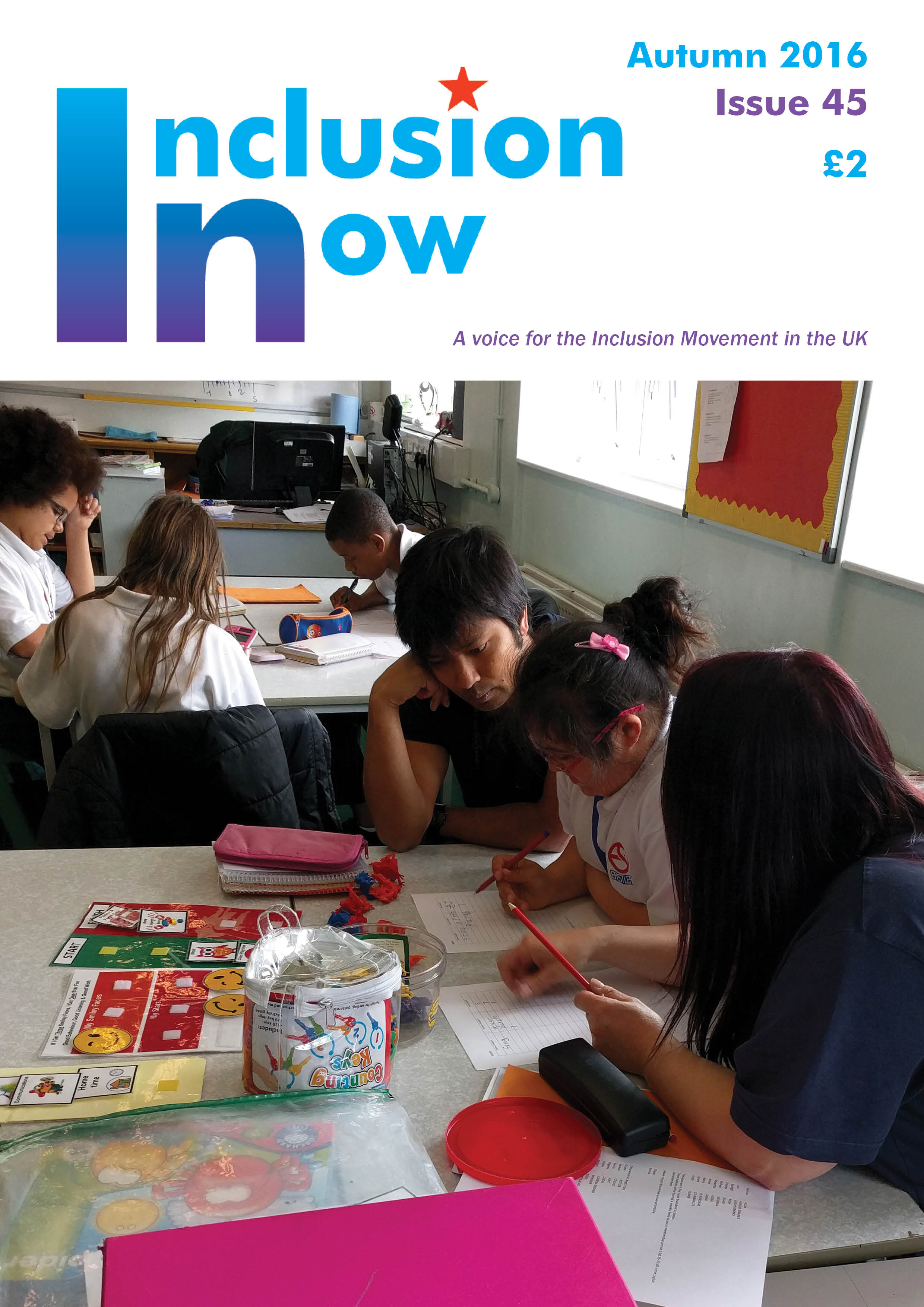 Inclusion Now 45