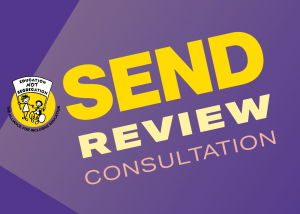 ALLFIE SEND Review Consultation flyer with the slogan: 'Education Not Segregation'