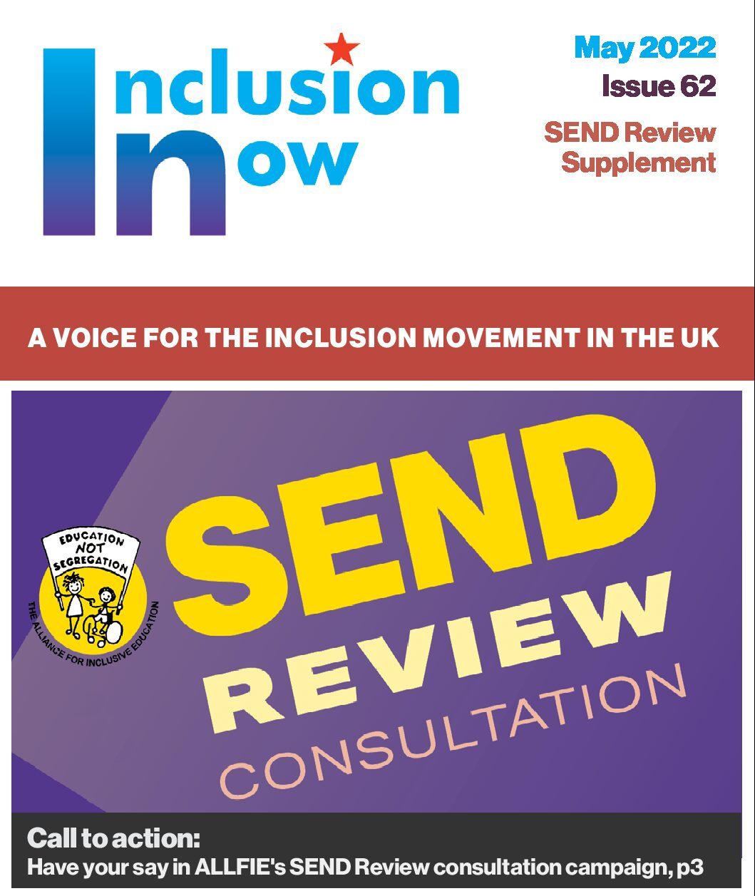 Inclusion-Now-62